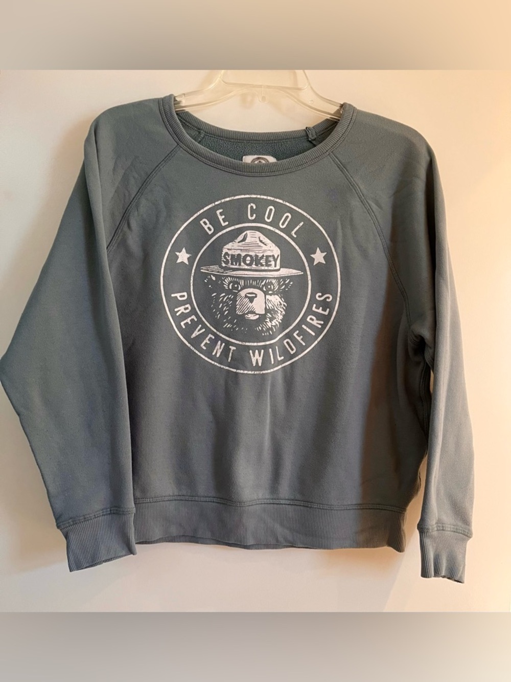 Smokey Bear 'Be Cool Prevent Wildfires' Blue-Gray Sweatshirt